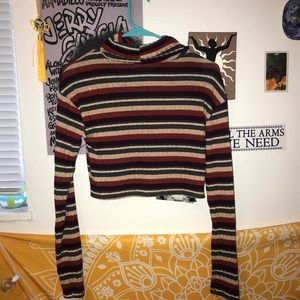 Cropped Long Sleeve Turtleneck